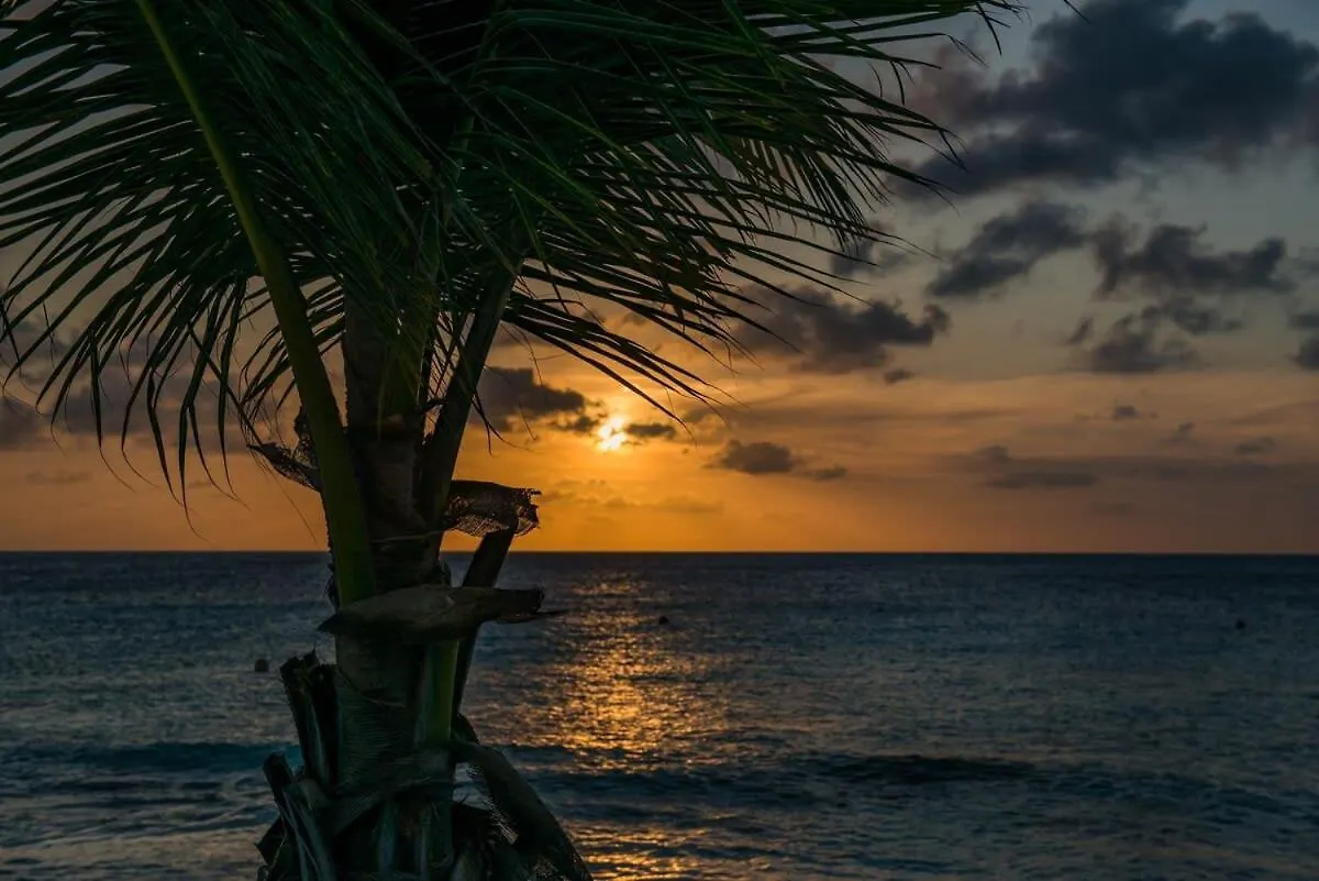 Vila Delfins Sunset At The Most Beautiful Beach Resort Kralendijk